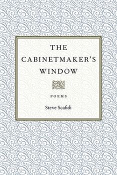 Paperback The Cabinetmaker's Window Book