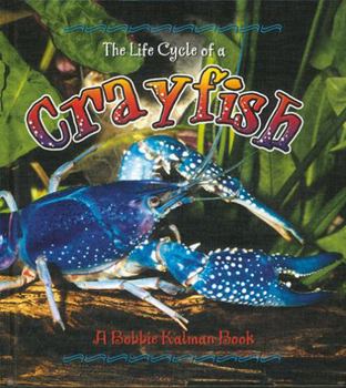 Paperback The Life Cycle of a Crayfish Book