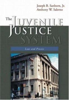 Hardcover The Juvenile Justice System: Law and Process Book