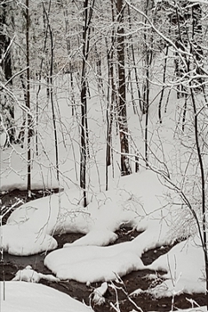 2020 Weekly Planner Winter Scenic Snow Stream 134 Pages: 2020 Planners Calendars Organizers Datebooks Appointment Books Agendas