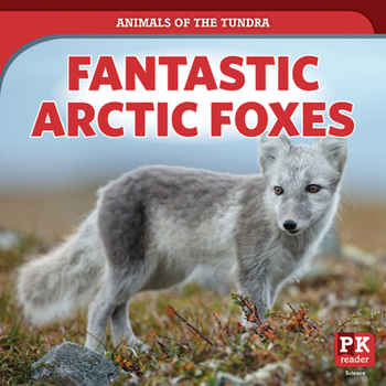 Paperback Fantastic Arctic Foxes Book