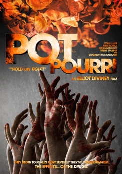 DVD Potpourri Book