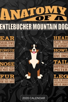 Paperback Anatomy Of A Entlebucher Mountain Dog: Entlebucher Mountain Dog 2020 Calendar - Customized Gift For Entlebucher Mountain Dog Dog Owner Book