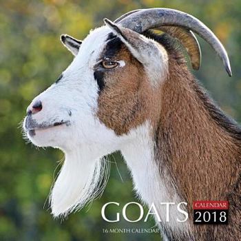 Goats Calendar 2018: 16 Month Calendar