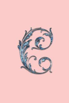 C: Initial Letter C Notebook, Handy 6 X 9 Size Easy to Carry Around in Your Bag or Pocket. a Great Book for Capturing Those Thoughts and Ideas Before They Disappear from Memory.
