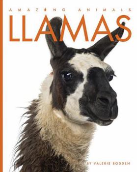 Llamas - Book  of the Amazing Animals