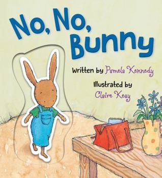 Board book No, No, Bunny Book
