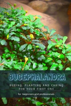 Paperback Bucephalandra: Buying, Planting and Caring for Your First One Book