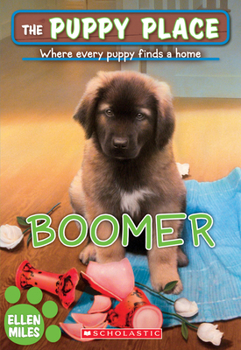 Paperback Boomer (the Puppy Place #37): Volume 37 Book