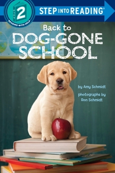 Paperback Back to Dog-Gone School Book