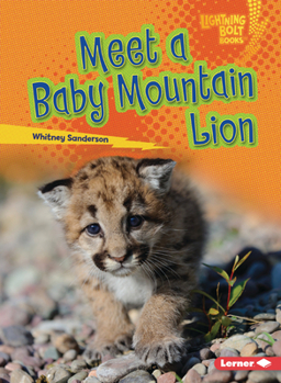 Paperback Meet a Baby Mountain Lion Book
