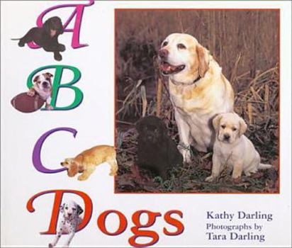 Paperback ABC Dogs Book