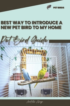 Best way to introduce a new pet bird to my home: Pet bird guide