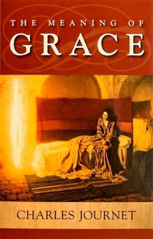 Paperback The Meaning of Grace Book