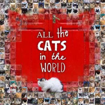 Hardcover All the Cats in the World Book