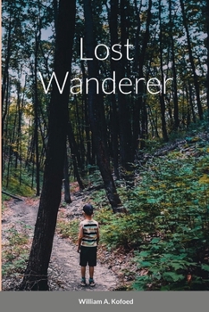 Paperback Lost wanderer Book