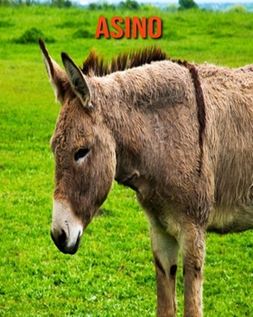 Asino: Immagini bellissime e fatti interessanti Libro per bambini sui Asino (Italian Edition)
