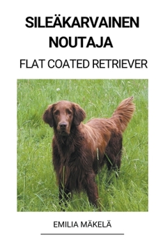 Sileäkarvainen Noutaja (Flat Coated Retriever)