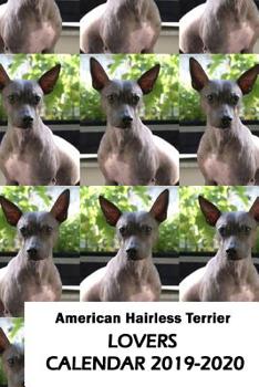 Paperback American Hairless Terrier Lovers Calendar 2019-2020 Book