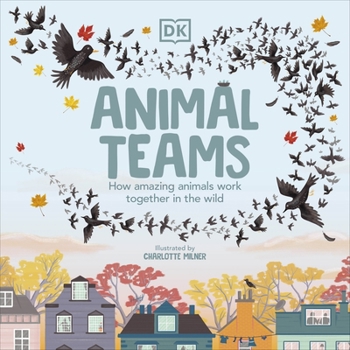 Paperback Animal Teams: How Amazing Animals Work Together in the Wild Book