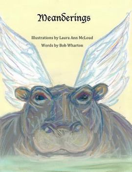 Paperback Meanderings Book