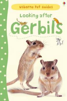 Hardcover Looking After Gerbils (Usborne Pet Guides) Book