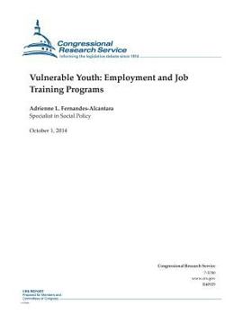 Paperback Vulnerable Youth: Employment and Job Training Programs Book