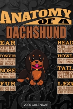 Paperback Anatomy Of A Dachshund: Dachshund 2020 Calendar - Customized Gift For Dachshund Dog Owner Book