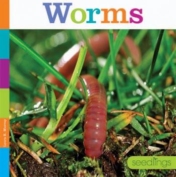 Paperback Worms Book