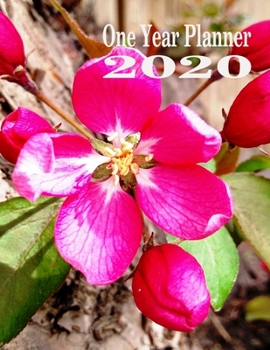 One Year Planner 2020-2021: Apple Blossom 2020 Monthly Planner 8.5 x 11