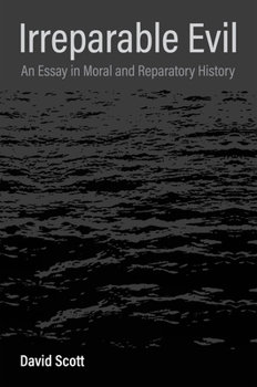 Hardcover Irreparable Evil: An Essay in Moral and Reparatory History Book