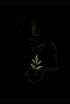 Paperback Resilience at Twenty Four Book