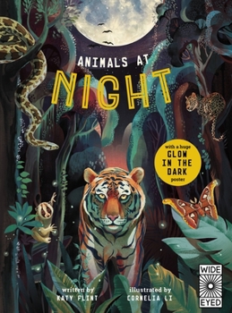 Hardcover Animals at Night [With Glow-In-The-Dark Poster] Book