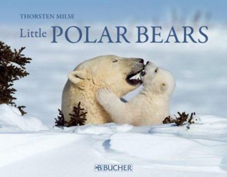 Hardcover Little Polar Bears Book