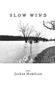 Paperback Slow Wind Book