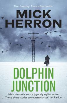 Paperback Dolphin Junction Book