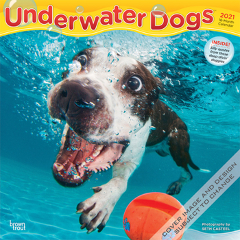 Calendar Underwater Dogs 2021 Square Book