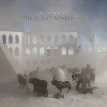 Vinyl Great Awakening Book