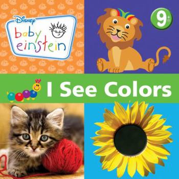 Board book I See Colors Book