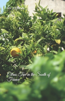 My Journal Citrus Tree in the South of France Cover