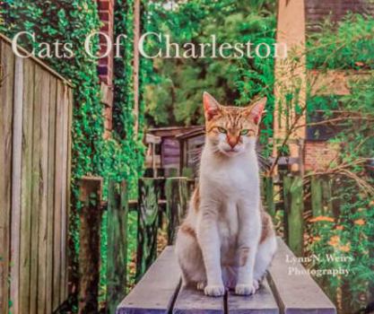 Paperback Cats Of Charleston Book