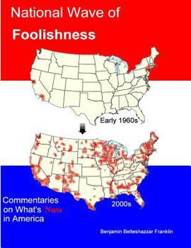 Paperback National Wave of Foolishness Book