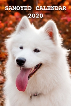 Samoyed Calendar 2020: Calendars Gift 110 Pages 6x9 Soft Cover Matte Finish