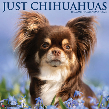 Calendar Just Chihuahuas 2025 12 X 12 Wall Calendar Book