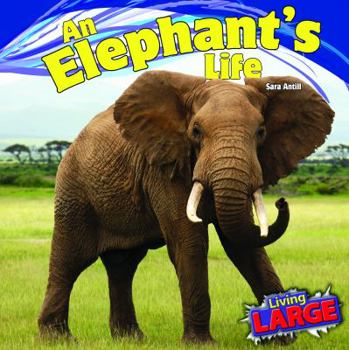 An Elephant's Life - Book  of the Living Large