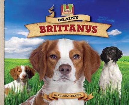 Brainy Brittanys - Book  of the Dog Daze