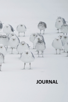 Paperback Journal: Glaucous gull Useful Bullet Journal Dot Grid Daily Planner Student for researching birds that live in the north pole Book