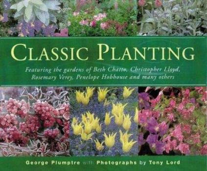 Paperback Classic Planting: Featuring The Gardens Of Beth Chatto, Christopher Lloyd, Rosemary Verey, Penelope Hobhouse And Many Others Book