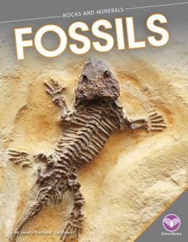 Fossils - Book  of the Rocks and Minerals