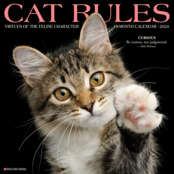 Calendar Cat Rules 2024 12 X 12 Wall Calendar Book